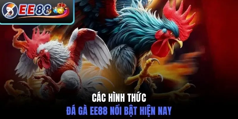 Các hình thức đá gà EE88 nổi bật hiện nay